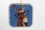 DONKEY W/ GLASSES