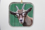 GOAT W/ GLASSES