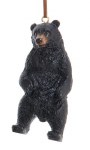 BLACK BEAR