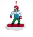 SNOWBOARD