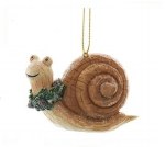 BROWN SHELL SNAIL