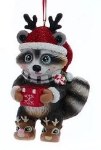 RACCOON