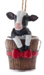 CALF IN BUCKET