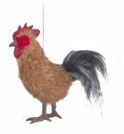 ROOSTER