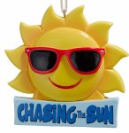 CHASING THE SUN