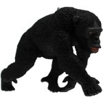 CHIMPANZEE
