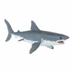 GREAT WHITE SHARK