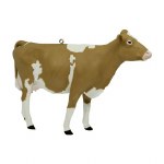 GUERNSEY COW