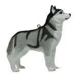 SIBERIAN HUSKY