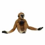 GIBBON