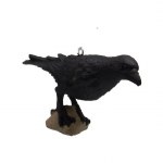 RAVEN