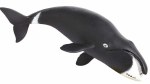 BOWHEAD WHALE