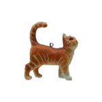 TABBY CAT