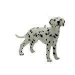 DALMATIAN