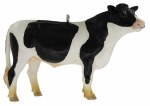 HOLSTEIN BULL