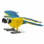 BLUE & GOLD MACAW BIRD