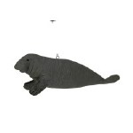 MANATEE