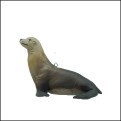 SEA LION