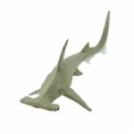 HAMMERHEAD SHARK