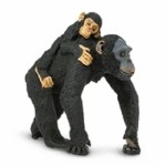 CHIMPANZEE WITH BABY