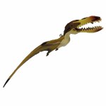 PTEROSAUR