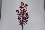 RED PEPER BERRY PICK