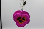 DARK PURPLE PANSY