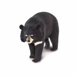 MOON BEAR