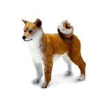 SHIBA INU