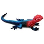 MWANZA FLAT-HEADED ROCK AGAMA