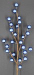 BLUE BERRY PICK