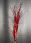 RED SPRAY