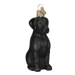 BLACK LABRADOR RETRIEVER OLD WORLD