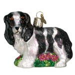 BLACK KING CHARLES SPANIEL