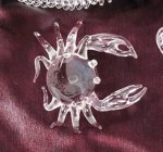 CRYSTAL CRAB