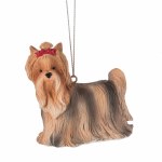 YORKSHIRE TERRIER