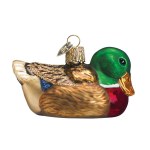 MALLARD DUCK OLD WORLD