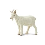 NANNY GOAT