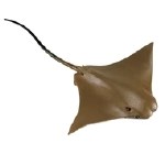 COWNOSE RAY