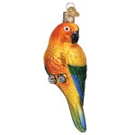 SUN CONURE