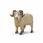 RAM