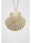 CLAM SHELL