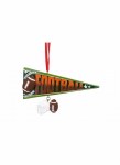 FOOTBALL PENNANT