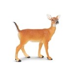 WHITE TAIL DOE