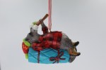 RACCOON CAMPING