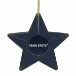 PSU STAR