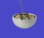 BOWL OF FOOD