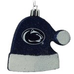 PENN STATE HAT