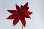 RED POINSETTIA PICK