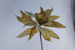 GOLD POINSETTIA PICK